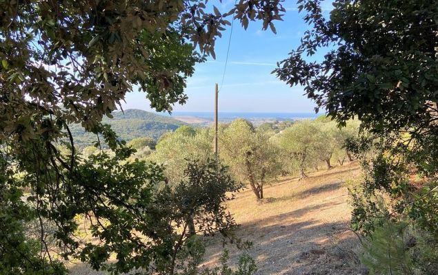 Home Relax - Photo 5