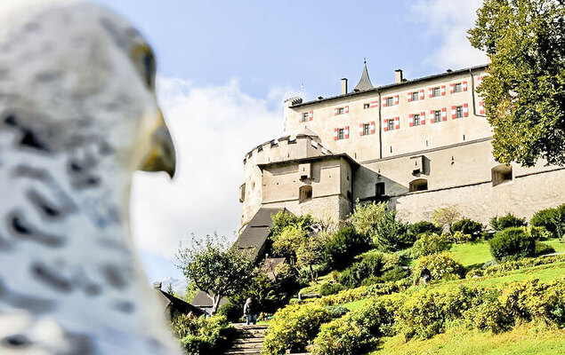 Edelweiss - Photo 20