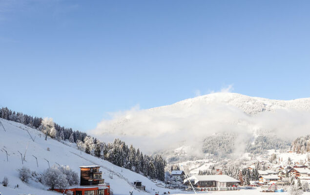 Weissmann - Photo 48