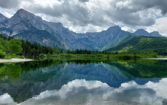 Hasenstall / Top 8 - Photo 33