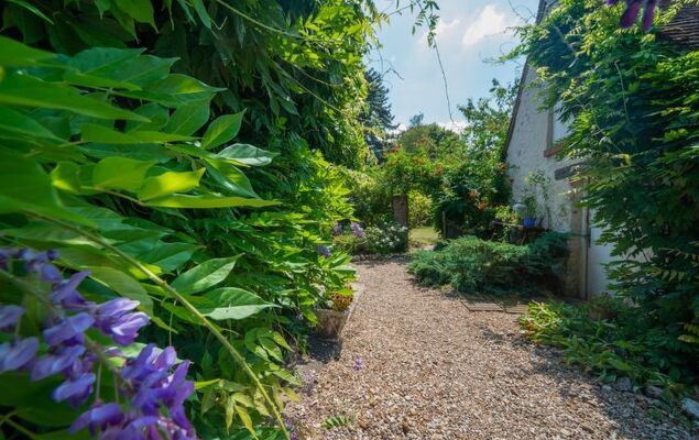 La Bachelotte - Photo 25