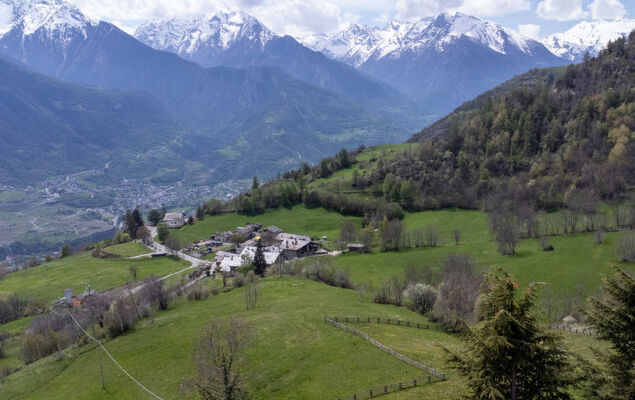 Chaouette - Photo 29