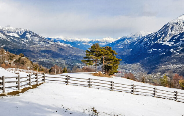 Chaouette - Photo 32