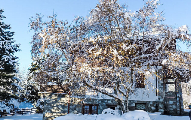 Chaouette - Photo 34